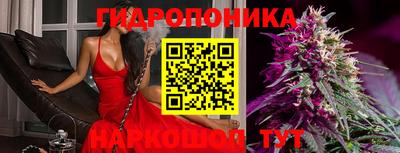 гашик Можайск